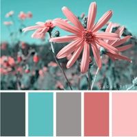 Verde com Rosa e Cinza