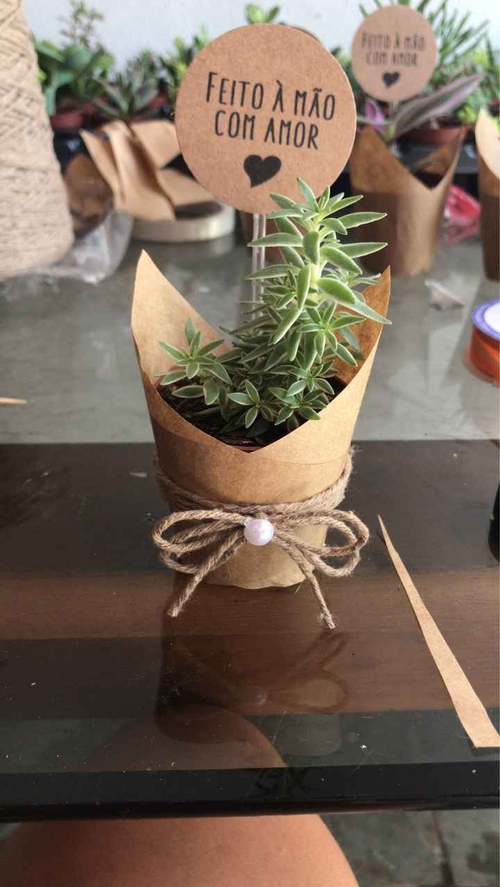  Mini Suculentas / Opinem - 1