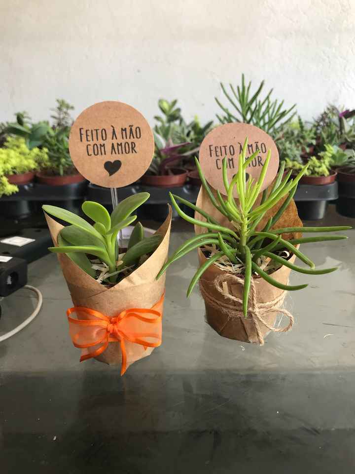  Mini Suculentas / Opinem - 2