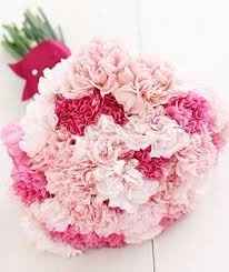 Qual o nome dessa flor?
