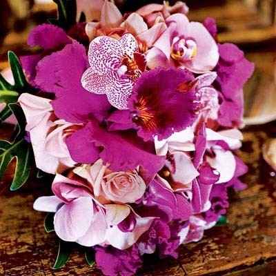 Buque de Orquideas