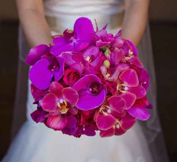 Buque de Orquideas 2