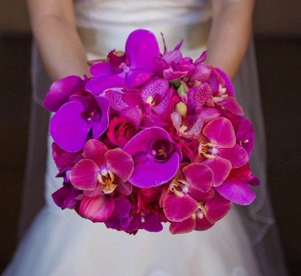 Buque de Orquideas 2
