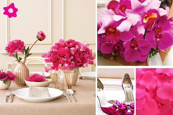 Decoração 8 - Fucsia