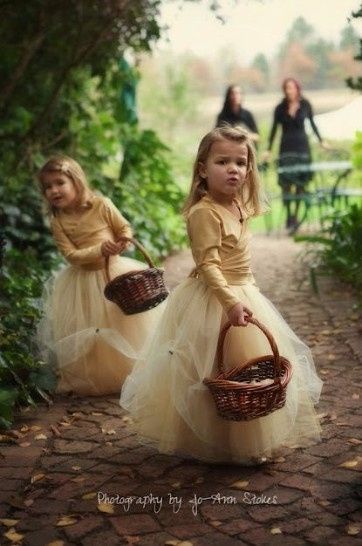 Inspirações Dourado Continuação Parte II