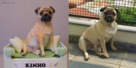 Cão no topo de bolo