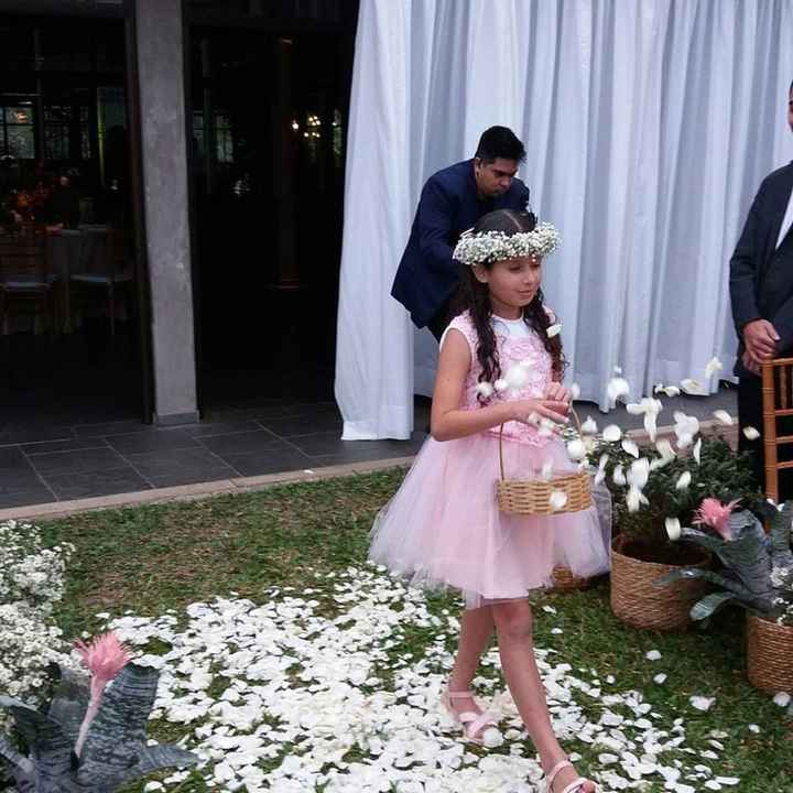 DAminha