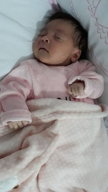 e minha princesa chegou - 1