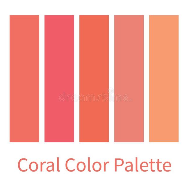 Paleta coral 2