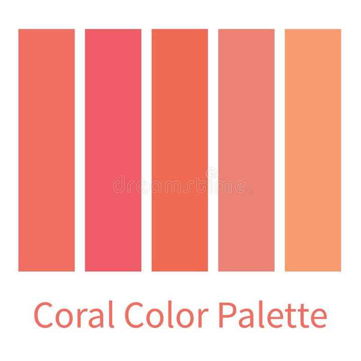 Paleta coral - 1