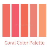 Paleta coral - 1