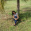 Dayane