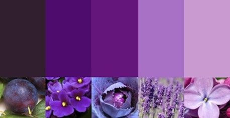Paleta de cores nos tons de lilás a roxo para madrinhas 5