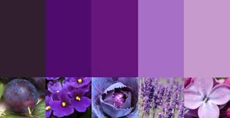 e o roxo!!
