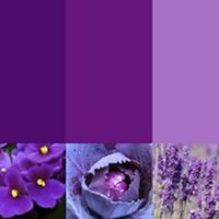 e o roxo!!