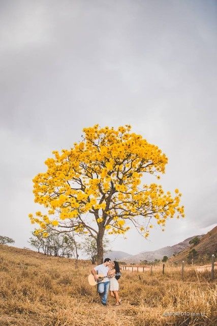 Meu fotografo