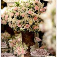 Cores da decoração/arranjos 