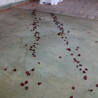 Pedido de casamento - 6