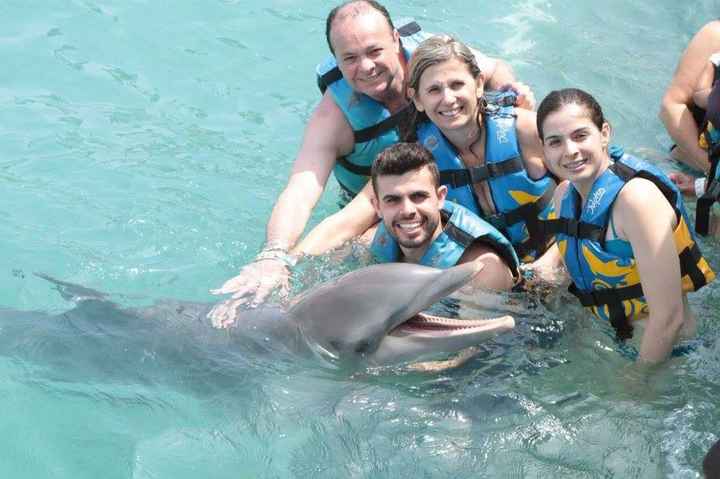 Nadando com os golfinhos!