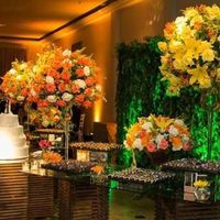 Cores escolhidas - 1