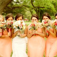 Cores escolhidas - 2