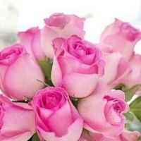 Buquê rosa bebê  x rosa pink - 1