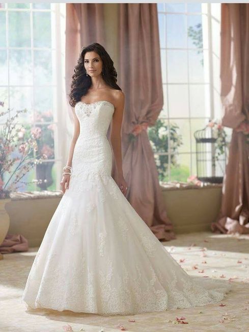 David Tutera 