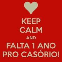 Faltam 365 dias !!!! - 1