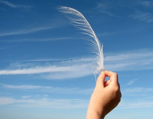 06º Mês bodas de plumas