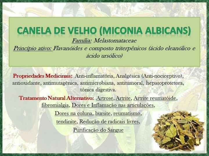  Chás medicinais! Vale muito a pena!!! - 1