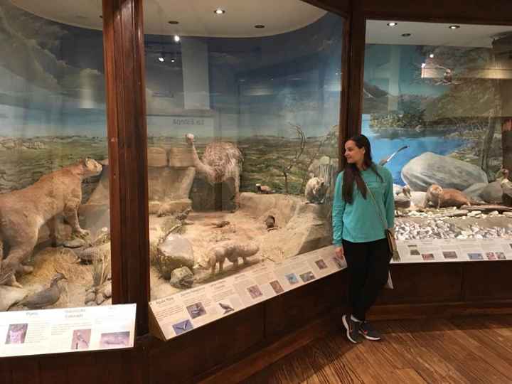 Museu da Patagônia
