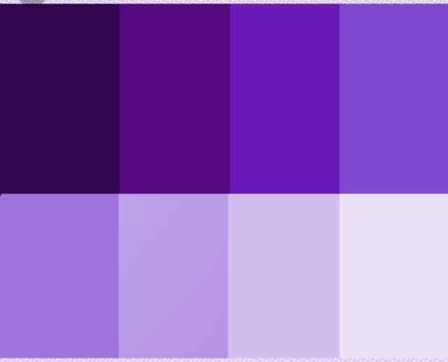 Minha paleta de cores - 2