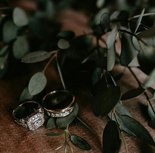 Indicações foto&filmagem #elopementwedding - 4