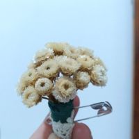 diy - fiz as caixas convites e as flores de lapela. 😍💒 - 1