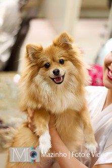 O cachorrinho da cabeleireira também participou!!