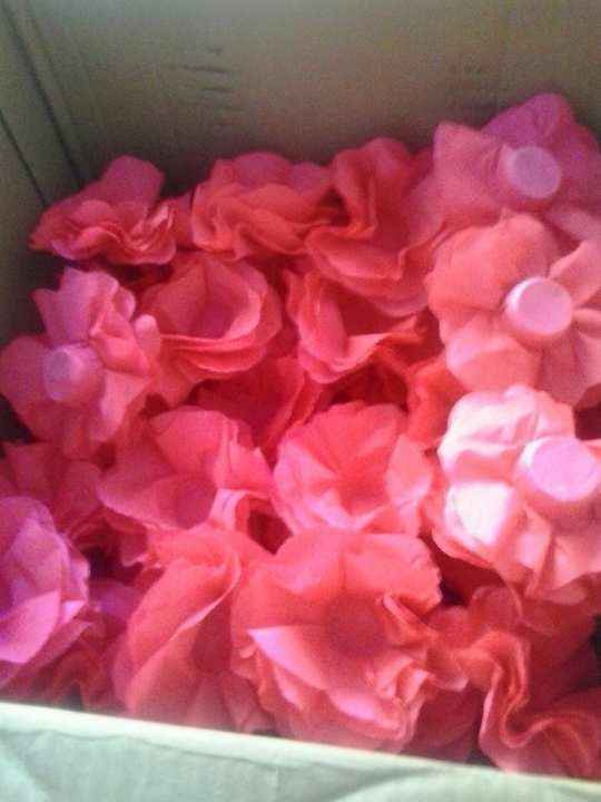 Forminhas rosa pink