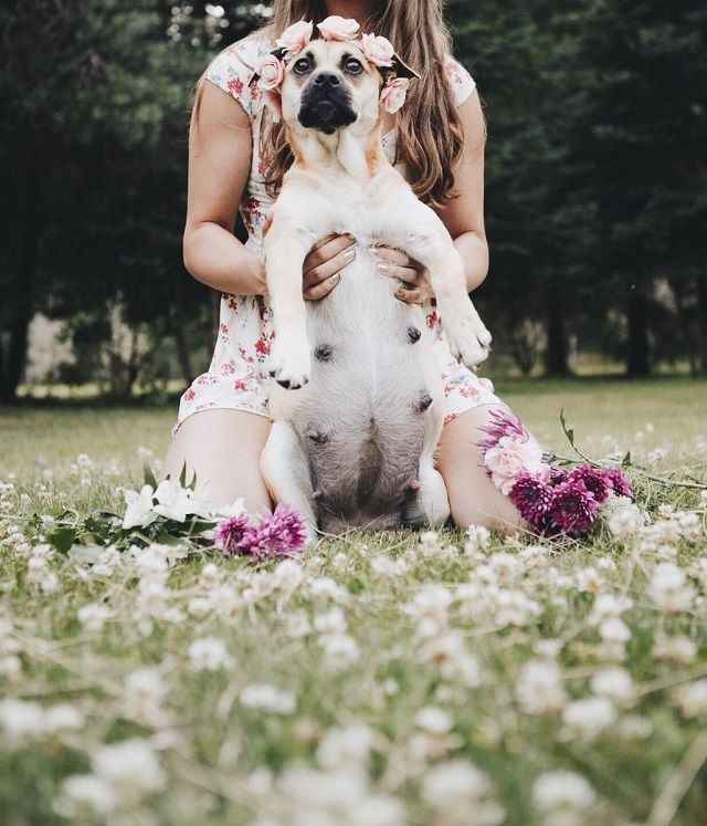 Ensaio lindo