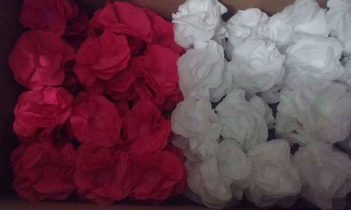 Brancas e rosas pink (a pink na foto tá parecendo vermelha rsrs)