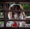 Bruna