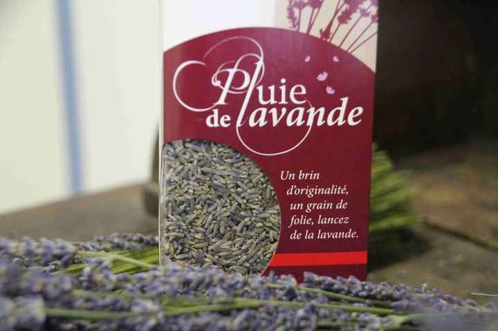 Chuva de arroz - 2
