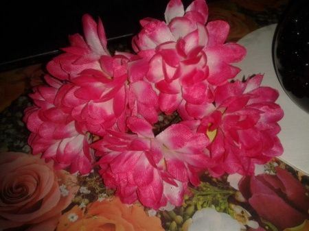 floress