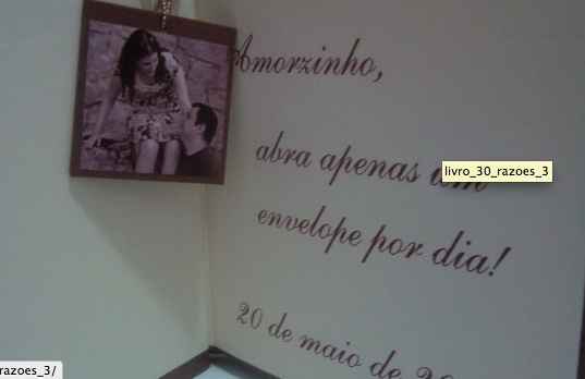 .Livro.............