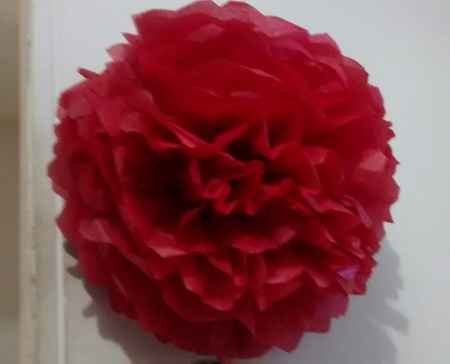 Pompom - 1