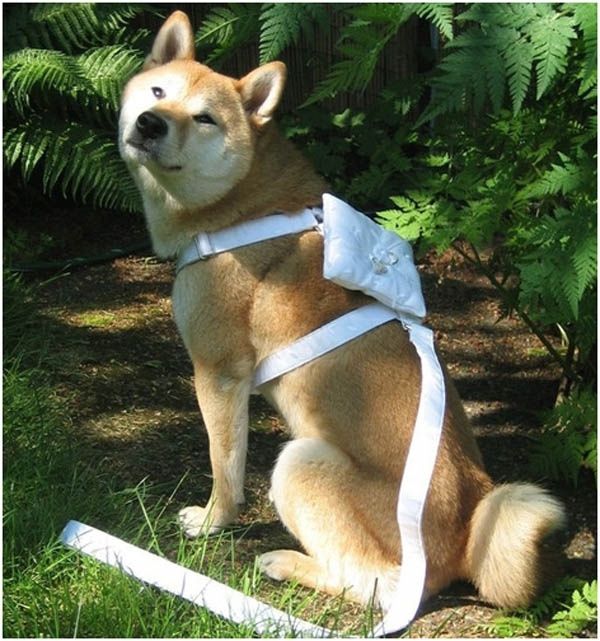 rsrsrs