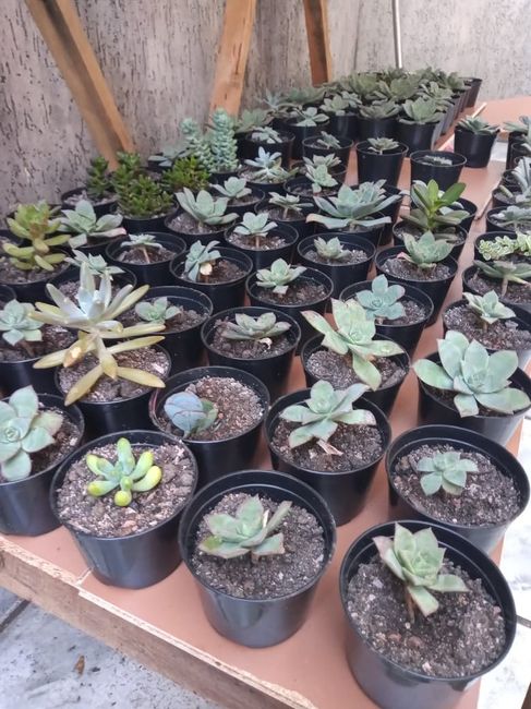 Atualização para o dia c - 2 meses 2