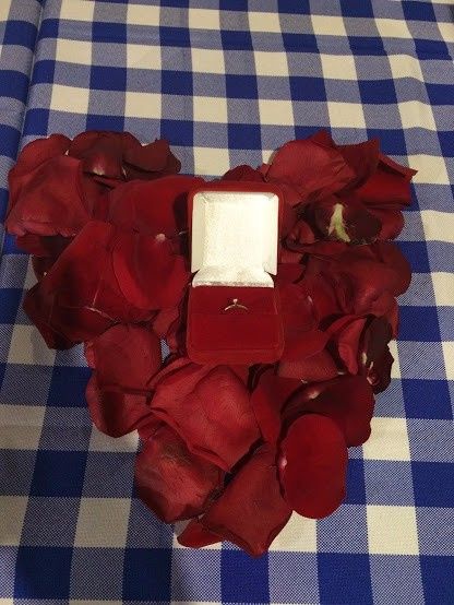 Mostre seu anel! 💍 6