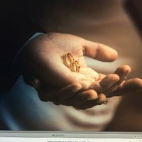 Um pouco sobre meu dia! - 7