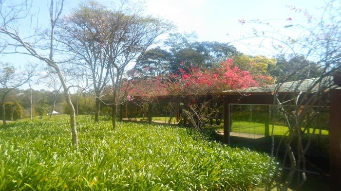 Flores