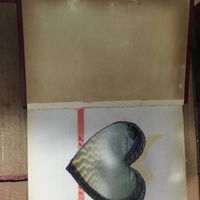  Vem ver meu porta aliança - 2