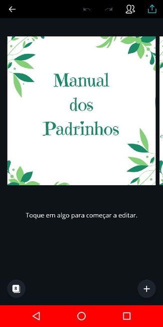 Meu manual de padrinhos - 1